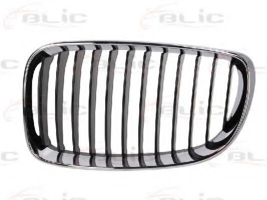 6502-07-0085991PP BLIC Решітка радіатора для BMW 1 Series