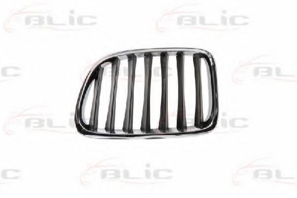 6502-07-0092991P BLIC Решітка радіатора для BMW X1