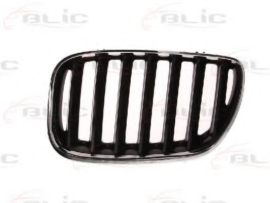 6502-07-0095995P BLIC Решітка радіатора для BMW X5