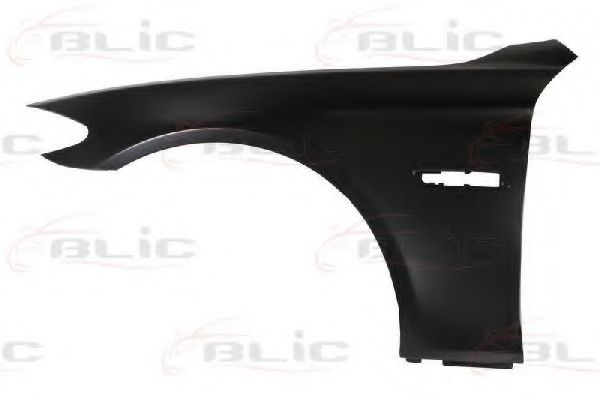 6504-04-0067311P BLIC Крило переднє для BMW 5 Series