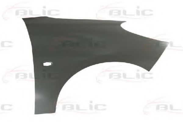 6504-04-5507314P BLIC Крыло переднее для Peugeot 206