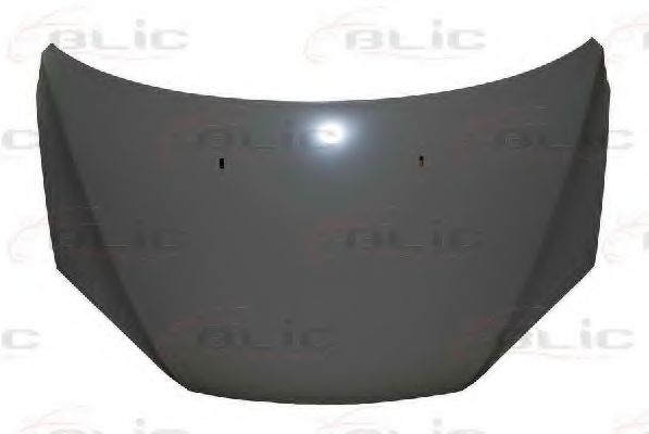 6803-00-2533280P BLIC Капот для Ford Focus