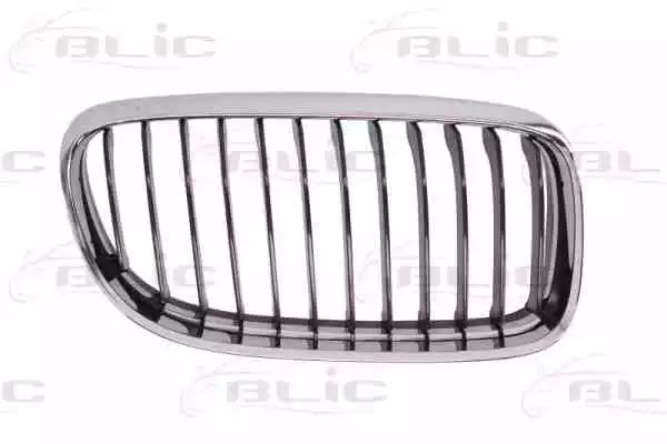 6502070062992AP BLIC Решетка радиатора для BMW 3 Series