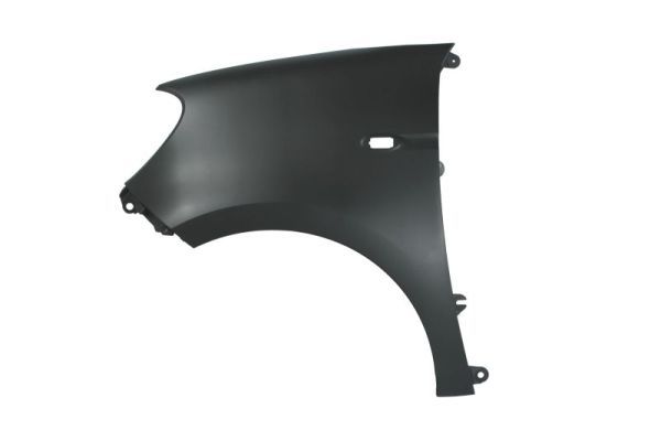 6504043503313P BLIC Крило переднє для Smart Forfour