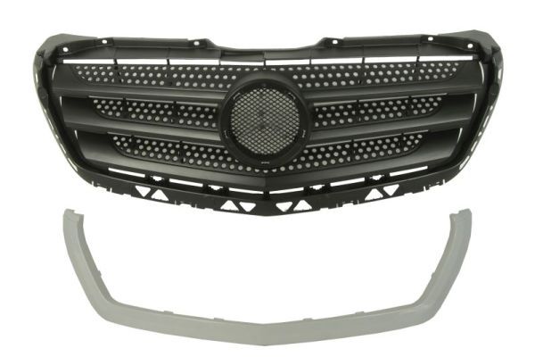 6502073548992p BLIC Решітка радіатора для Mercedes Sprinter