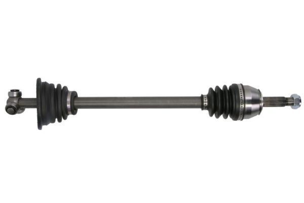 g2r023pc Pascal Полуось для Renault 19