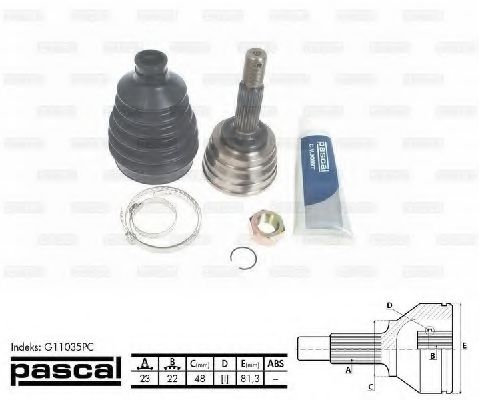 G11035PC Pascal ШРУС для Nissan Micra