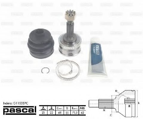 G11038PC Pascal ШРУС для Nissan Micra