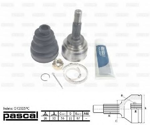 G12025PC Pascal ШРУС