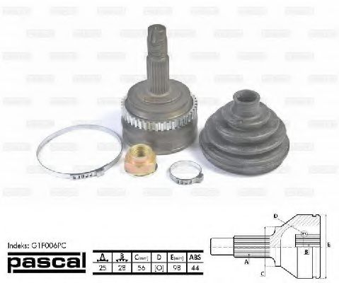 G1F006PC Pascal ШРУС