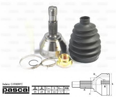 G1F009PC Pascal ШРУС