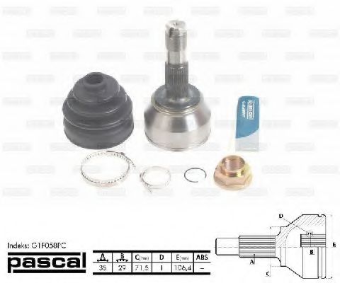 G1F058PC Pascal ШРУС