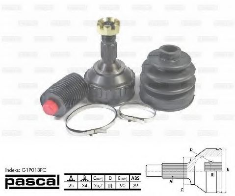G1P013PC Pascal ШРУС