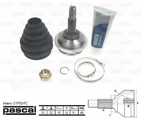 G1P020PC Pascal ШРУС для Peugeot 206