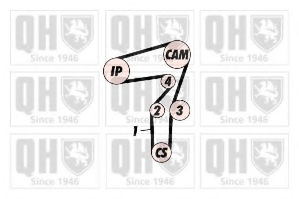 QBK238 Quinton Hazell Комплект ременя ГРМ