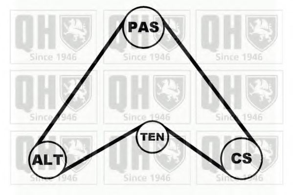 QDK50 Quinton Hazell Комплект поликлинового ремня