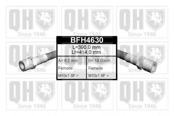 BFH4630 Quinton Hazell Гальмівний шланг