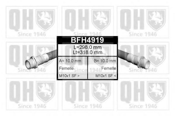 BFH4919 Quinton Hazell Тормозной шланг