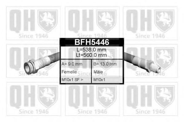 BFH5446 Quinton Hazell Гальмівний шланг для Lancia Kappa