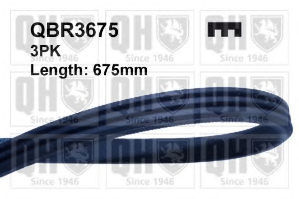 QBR3675 Quinton Hazell Поліклиновий ремінь