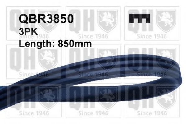 QBR3850 Quinton Hazell Поліклиновий ремінь