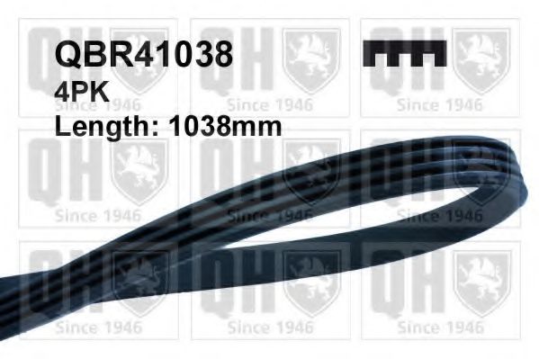 QBR41038 Quinton Hazell Поліклиновий ремінь