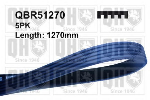 QBR51270 Quinton Hazell Поліклиновий ремінь