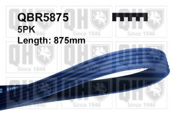 QBR5875 Quinton Hazell Поліклиновий ремінь