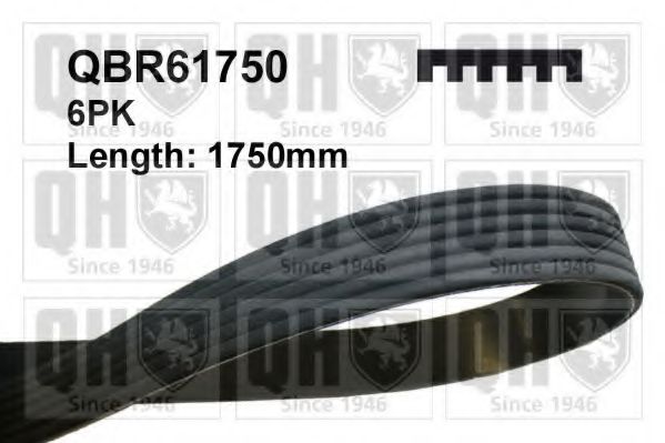 QBR61750 Quinton Hazell Поліклиновий ремінь