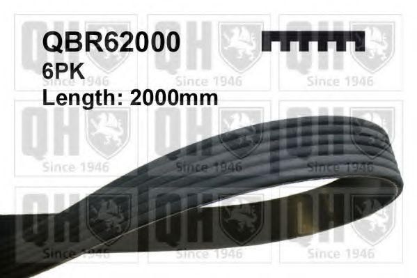 QBR62000 Quinton Hazell Поліклиновий ремінь