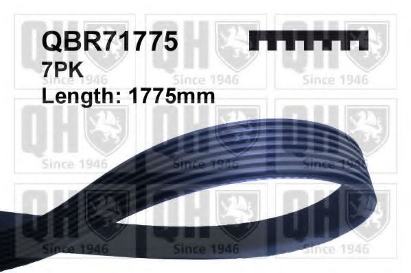 QBR71775 Quinton Hazell Поліклиновий ремінь