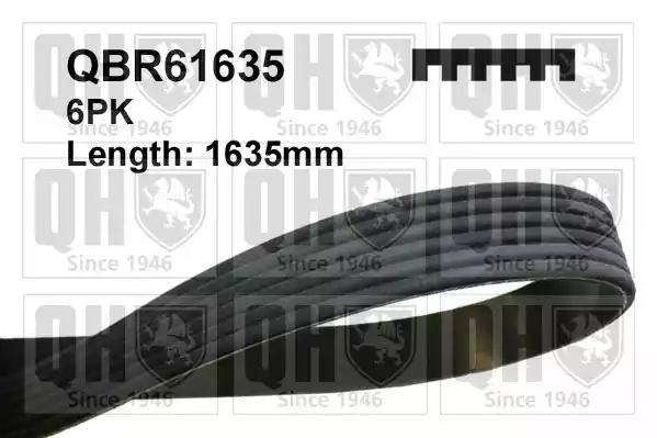 qbr61635 Quinton Hazell Поліклиновий ремінь