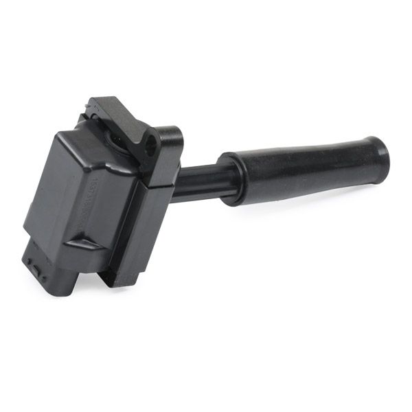 689c0213 RIDEX Катушка зажигания