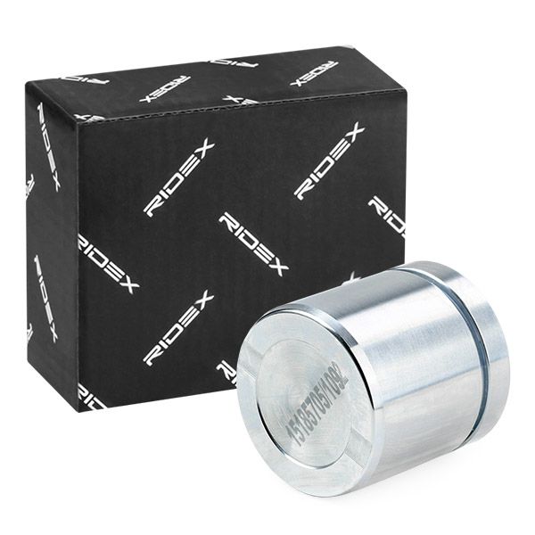 2248p0025 RIDEX Поршень гальмівного супорта