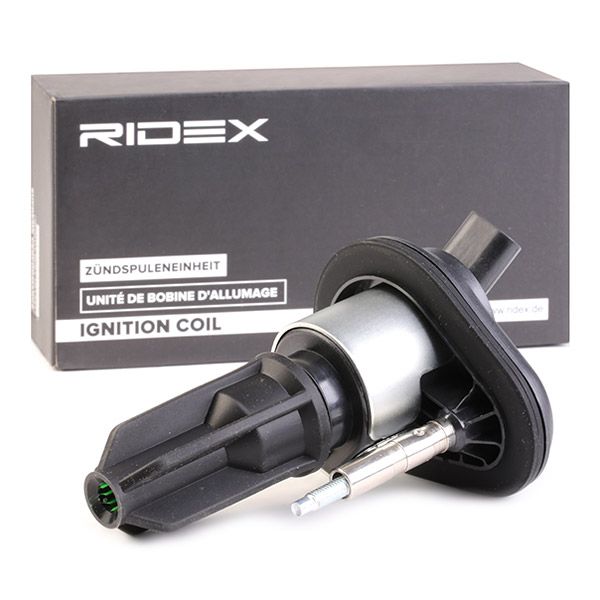 689c0349 RIDEX Катушка зажигания