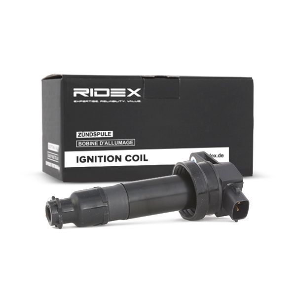 689c0161 RIDEX Катушка зажигания