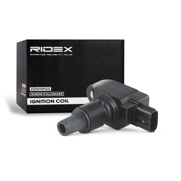 689c0035 RIDEX Котушка запалювання