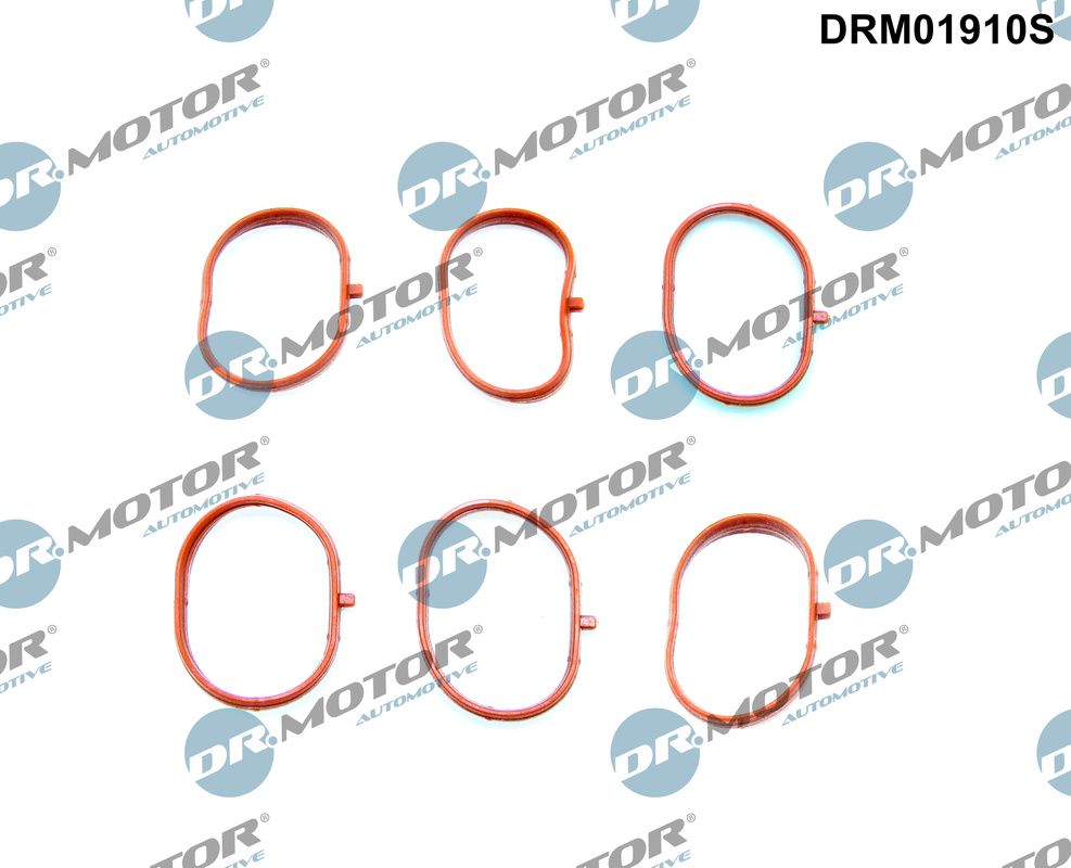 drm01910s Dr. Motor Automotive Комплект прокладок впускного колектора