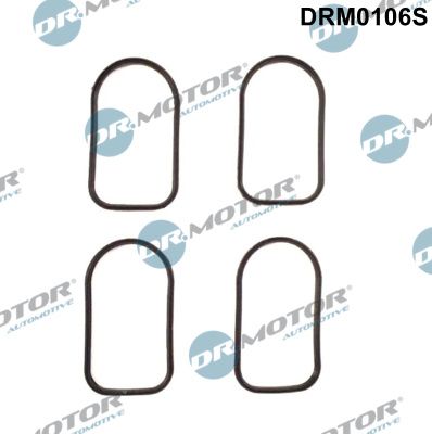 drm0106s Dr. Motor Automotive Комплект прокладок впускного колектора