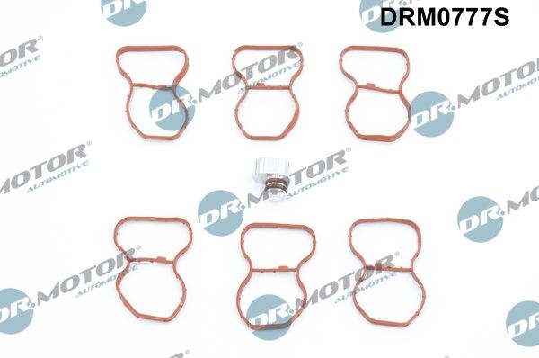 drm0777s Dr. Motor Automotive Комплект прокладок впускного коллектора