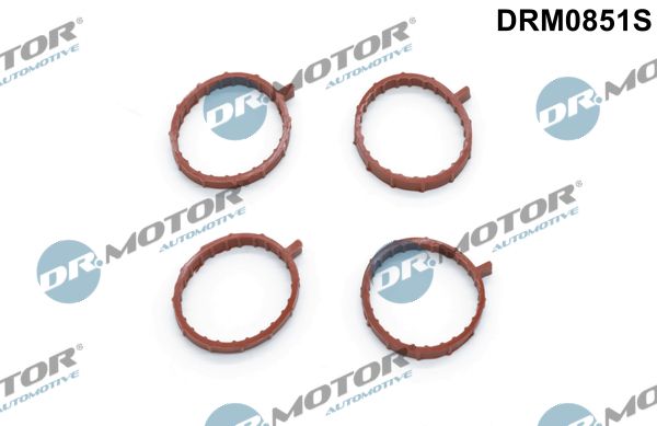 drm0851s Dr. Motor Automotive Комплект прокладок впускного коллектора