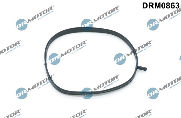 drm0863 Dr. Motor Automotive Прокладка впускного колектора