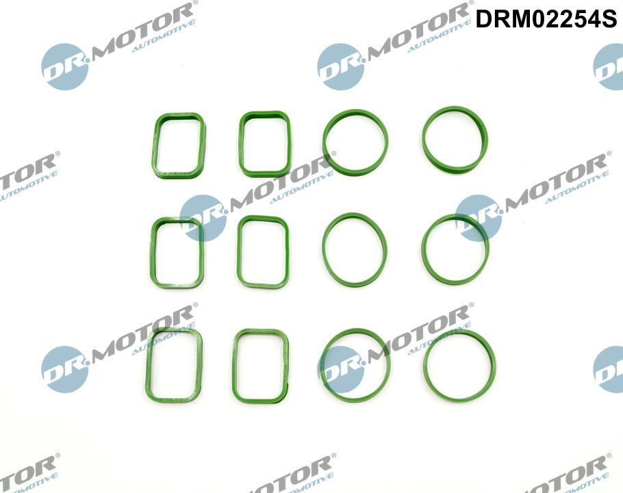 drm02254s Dr. Motor Automotive Комплект прокладок впускного коллектора