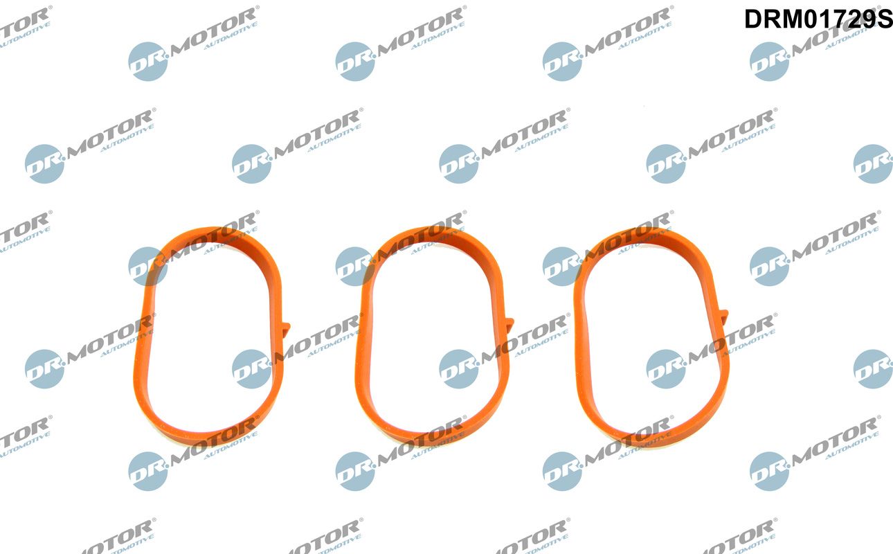 drm01729s Dr. Motor Automotive Комплект прокладок впускного колектора