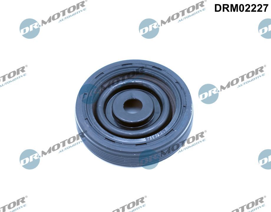 drm02227 Dr. Motor Automotive Сальник коленвала