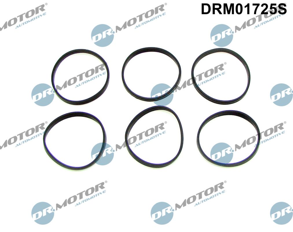 drm01725s Dr. Motor Automotive Комплект прокладок впускного колектора