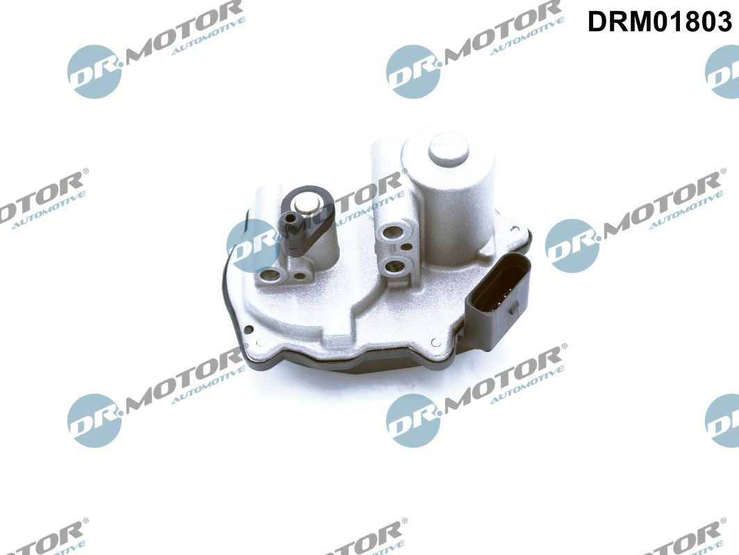 drm01803 Dr. Motor Automotive Заслінка впускного колектора