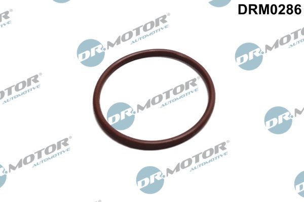drm0286 Dr. Motor Automotive Прокладка паливного насоса