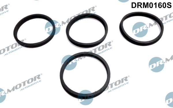drm0160s Dr. Motor Automotive Комплект прокладок впускного коллектора
