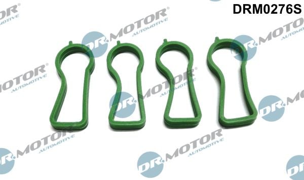 drm0276s Dr. Motor Automotive Комплект прокладок впускного коллектора